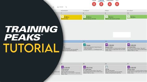 trainingpeaks kostenlos